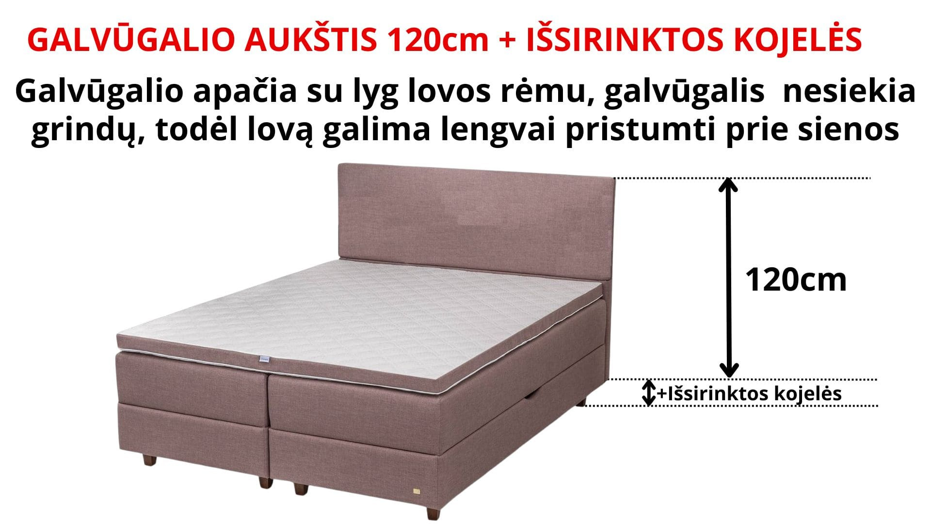 Galvūgalio aukštis 120 cm